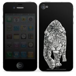 Foils for Smartphones glossy