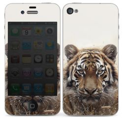 Foils for Smartphones glossy