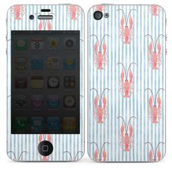 Foils for Smartphones glossy