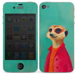 Foils for Smartphones glossy