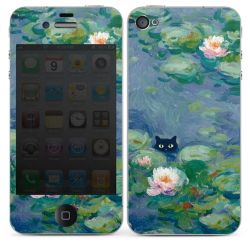 Foils for Smartphones glossy