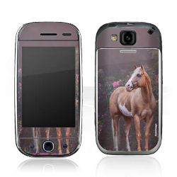 Foils for Smartphones glossy