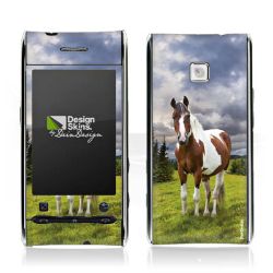 Foils for Smartphones glossy