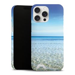 Premium Card Case matt