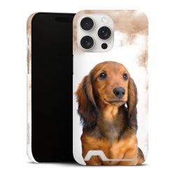 Premium Card Case matt