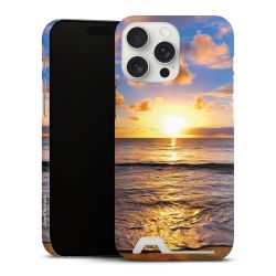 Premium Card Case matt