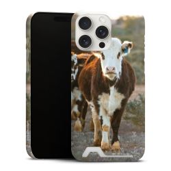 Premium Card Case matt