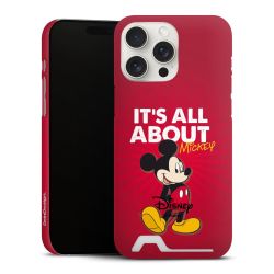 Premium Card Case matt