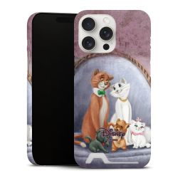 Premium Card Case matt