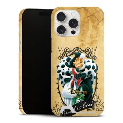 Premium Card Case matt