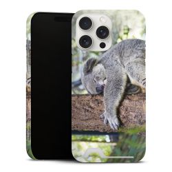 Premium Card Case matt