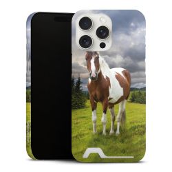 Premium Card Case matt