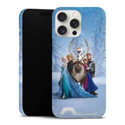 Premium Card Case matt