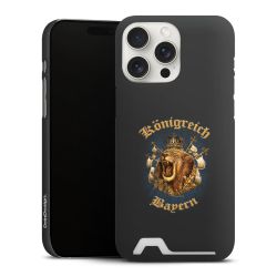 Premium Card Case matt