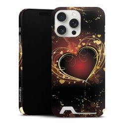 Premium Card Case matt