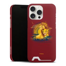 Premium Card Case matt