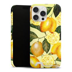 Premium Card Case matt