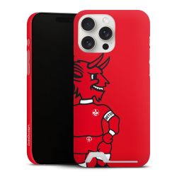 Premium Card Case matt