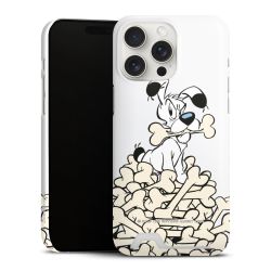 Premium Card Case matt