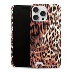 Premium Card Case matt