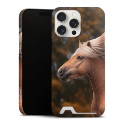 Premium Card Case matt