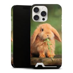 Premium Card Case matt