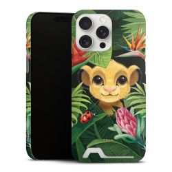 Premium Card Case matt