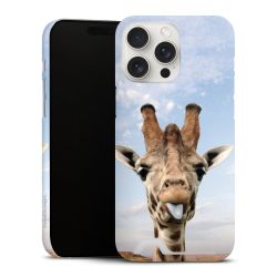 Premium Card Case matt