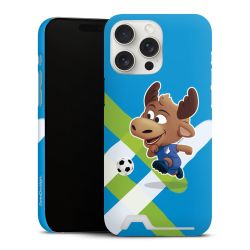 Premium Card Case matt