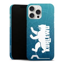 Premium Card Case matt