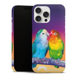 Premium Card Case matt