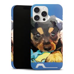 Premium Card Case matt