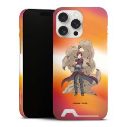 Premium Card Case matt