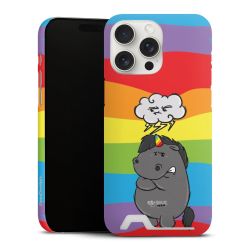 Premium Card Case matt