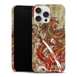 Premium Card Case matt