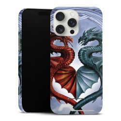 Premium Card Case matt