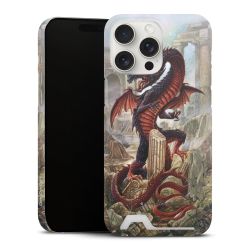 Premium Card Case matt