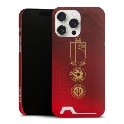 Premium Card Case matt