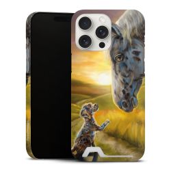 Premium Card Case matt