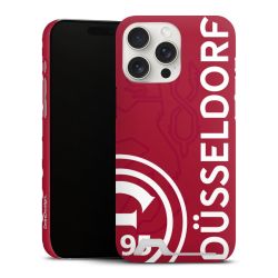 Premium Card Case matt