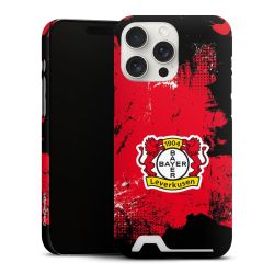 Premium Card Case matt