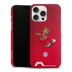 Premium Card Case matt