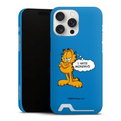 Premium Card Case matt