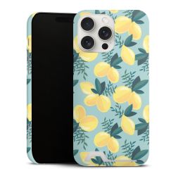 Premium Card Case matt