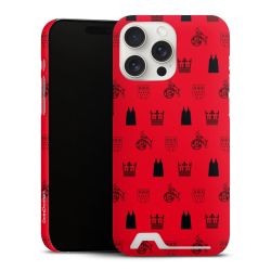 Premium Card Case matt