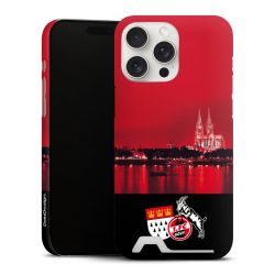 Premium Card Case matt