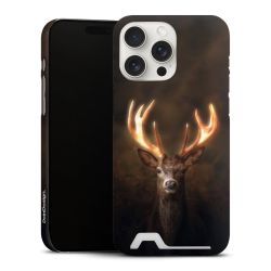 Premium Card Case matt