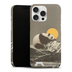 Premium Card Case matt