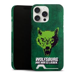 Premium Card Case matt