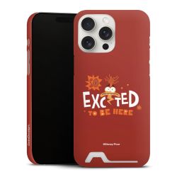 Premium Card Case matt